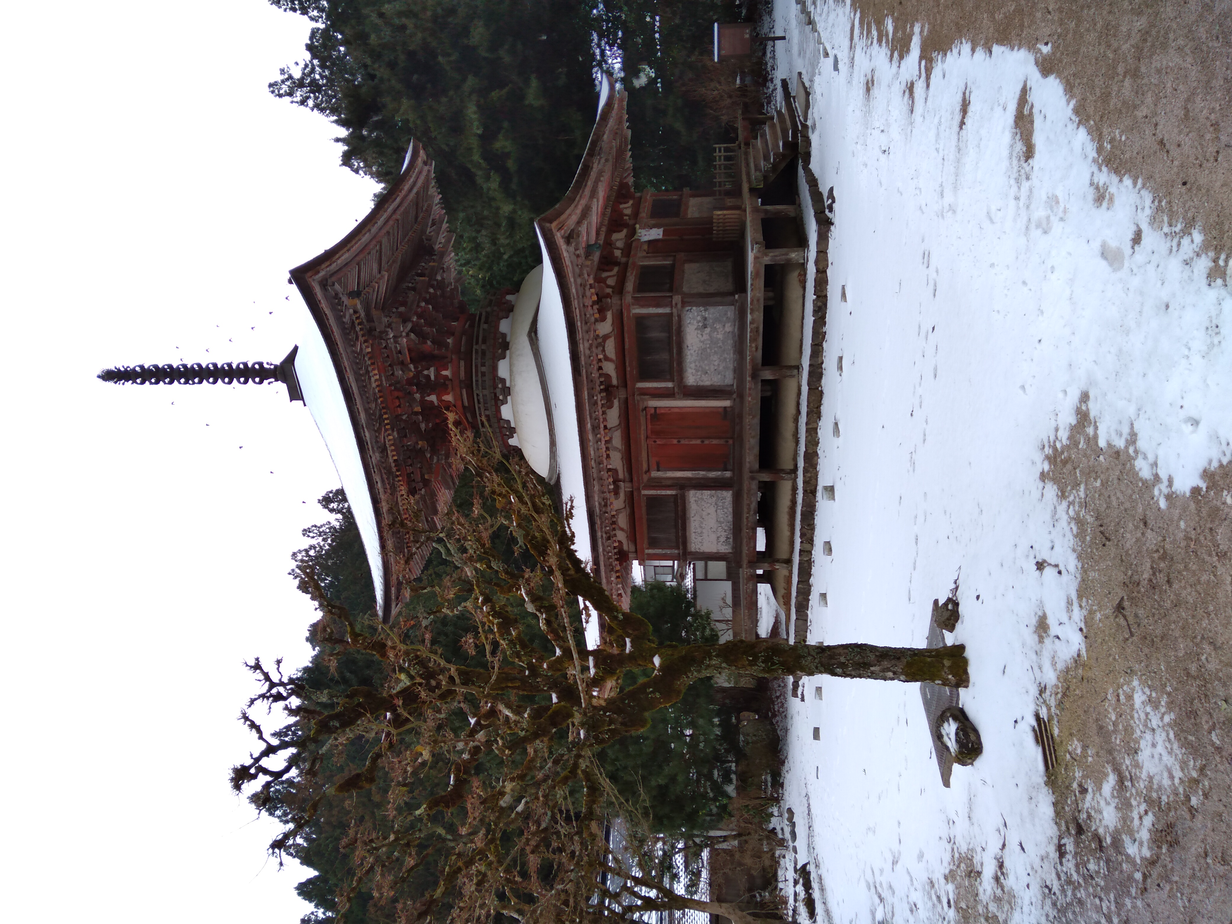 Bild von Japan