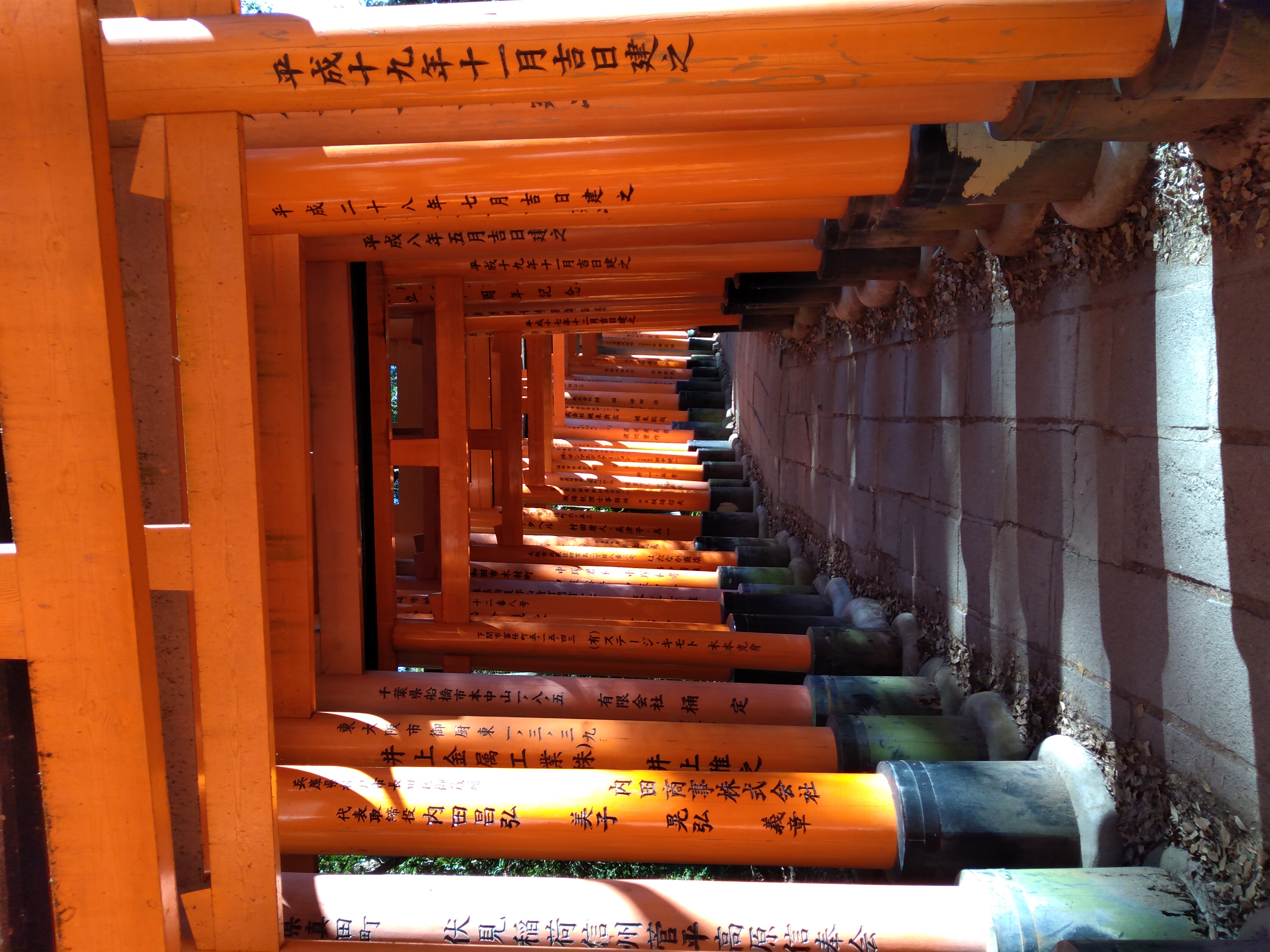Bild von Japan