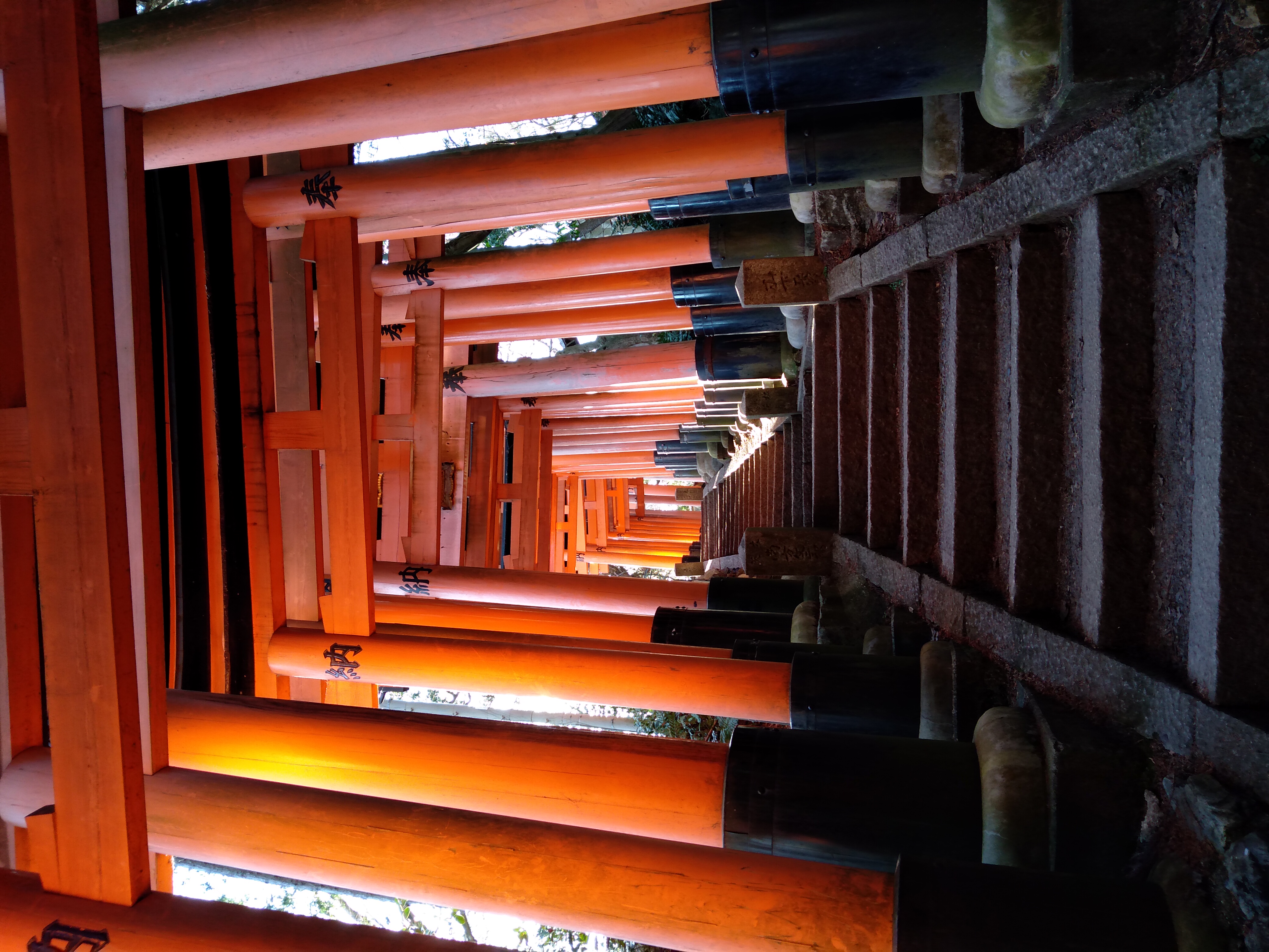 Bild von Japan