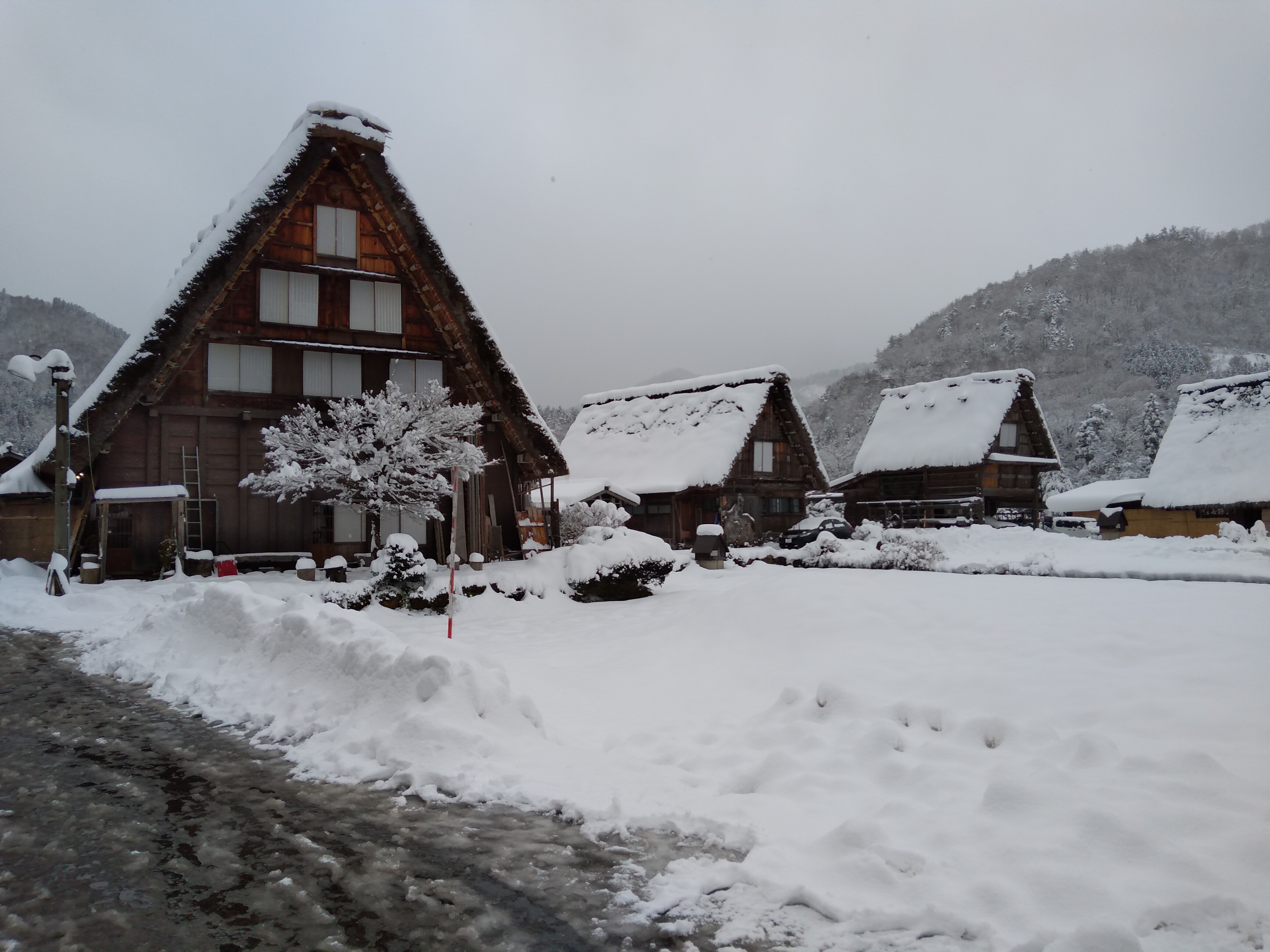 Bild von Japan