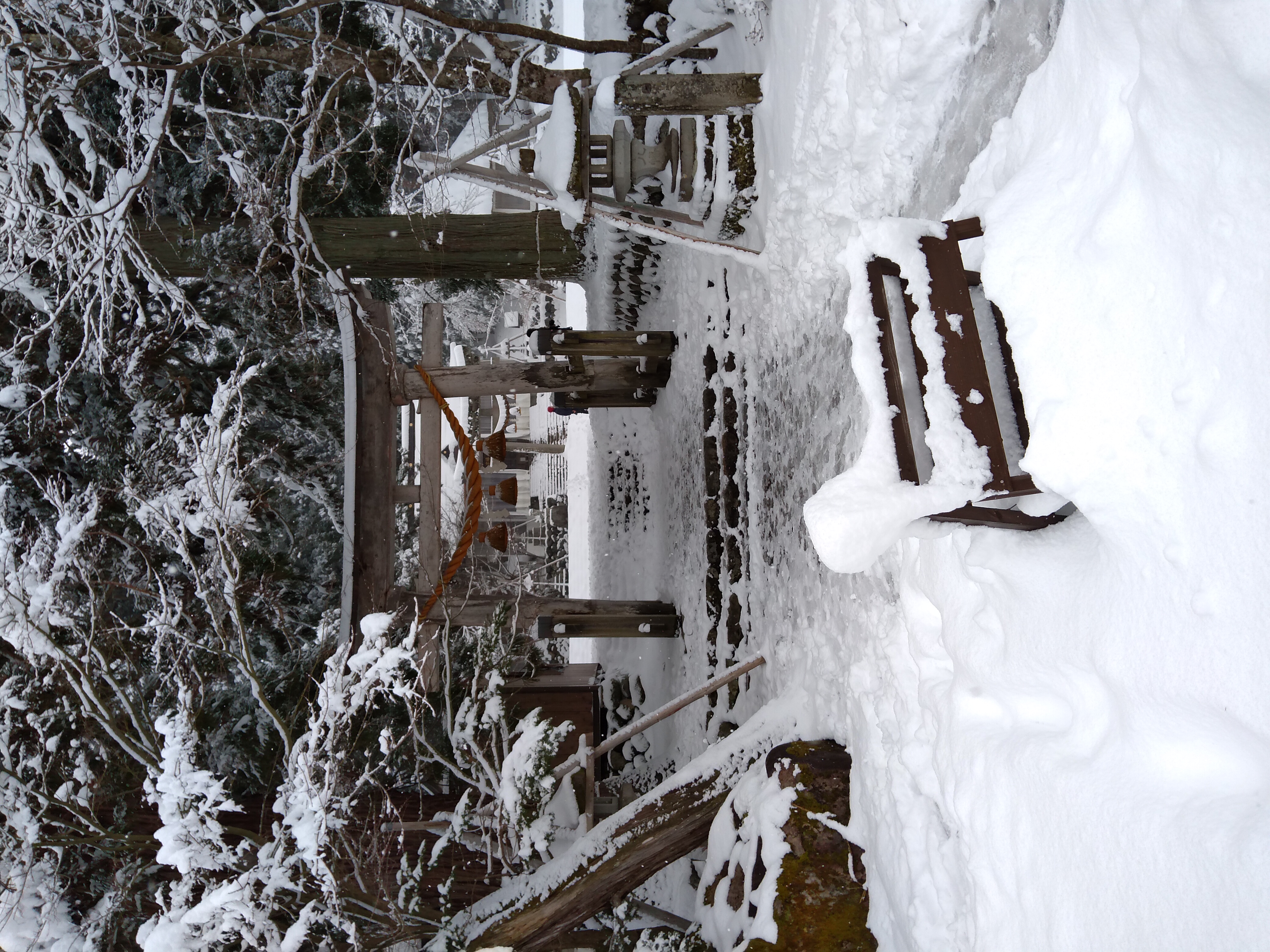 Bild von Japan