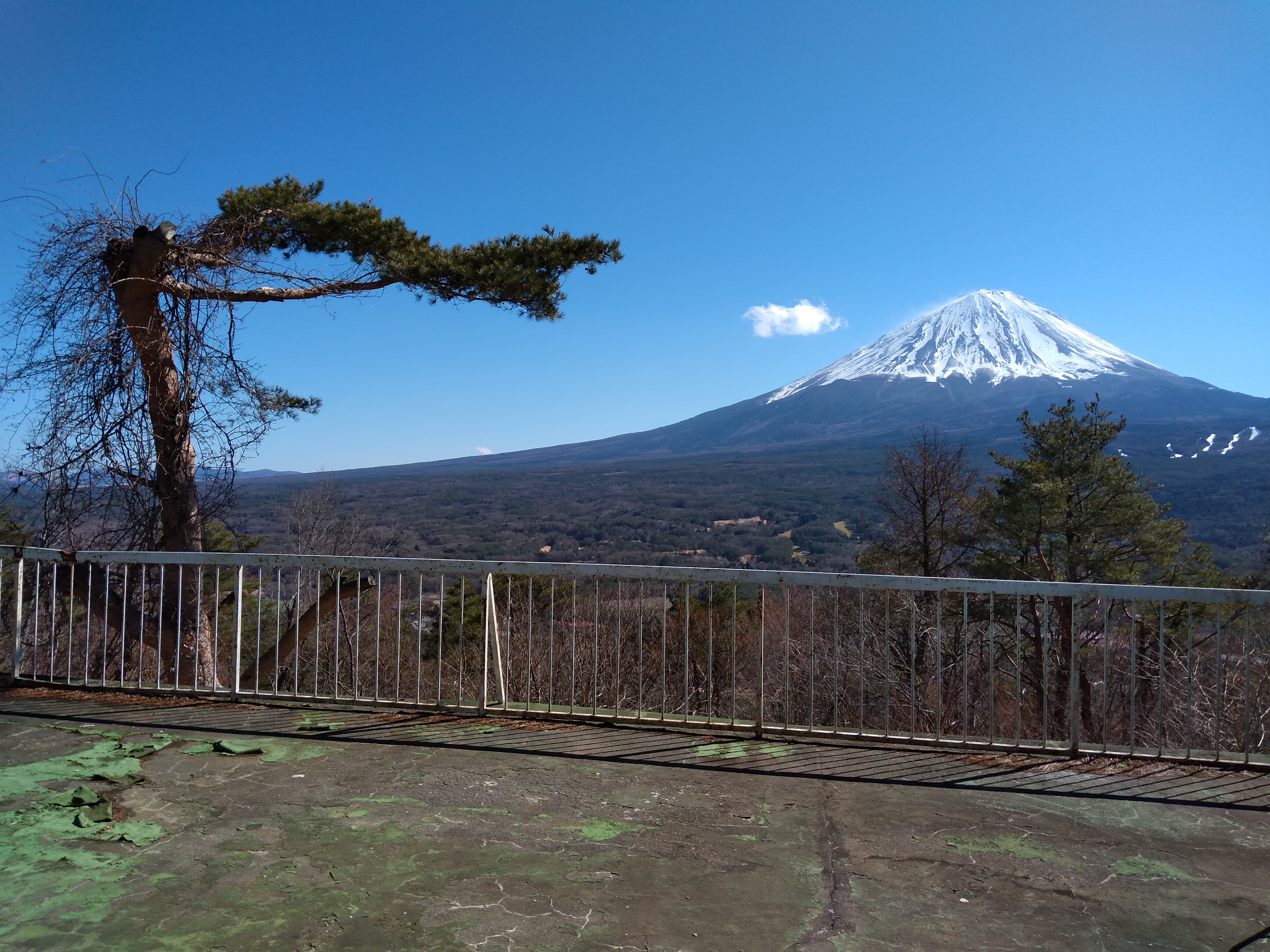 Bild von Japan