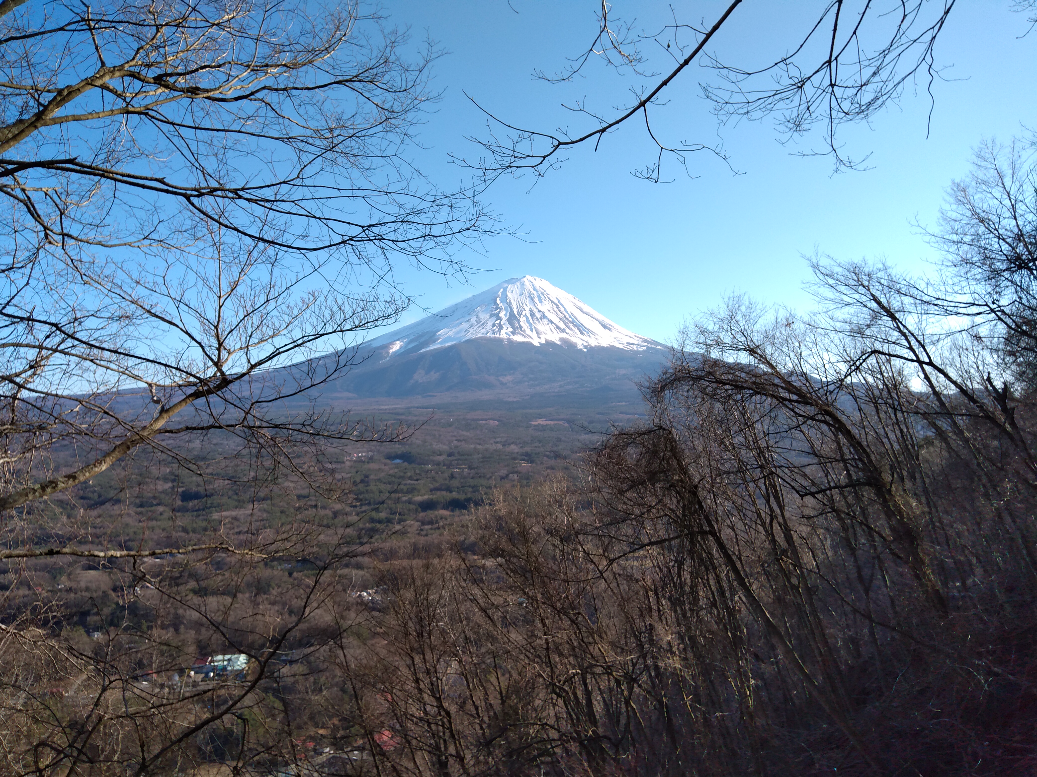 Bild von Japan