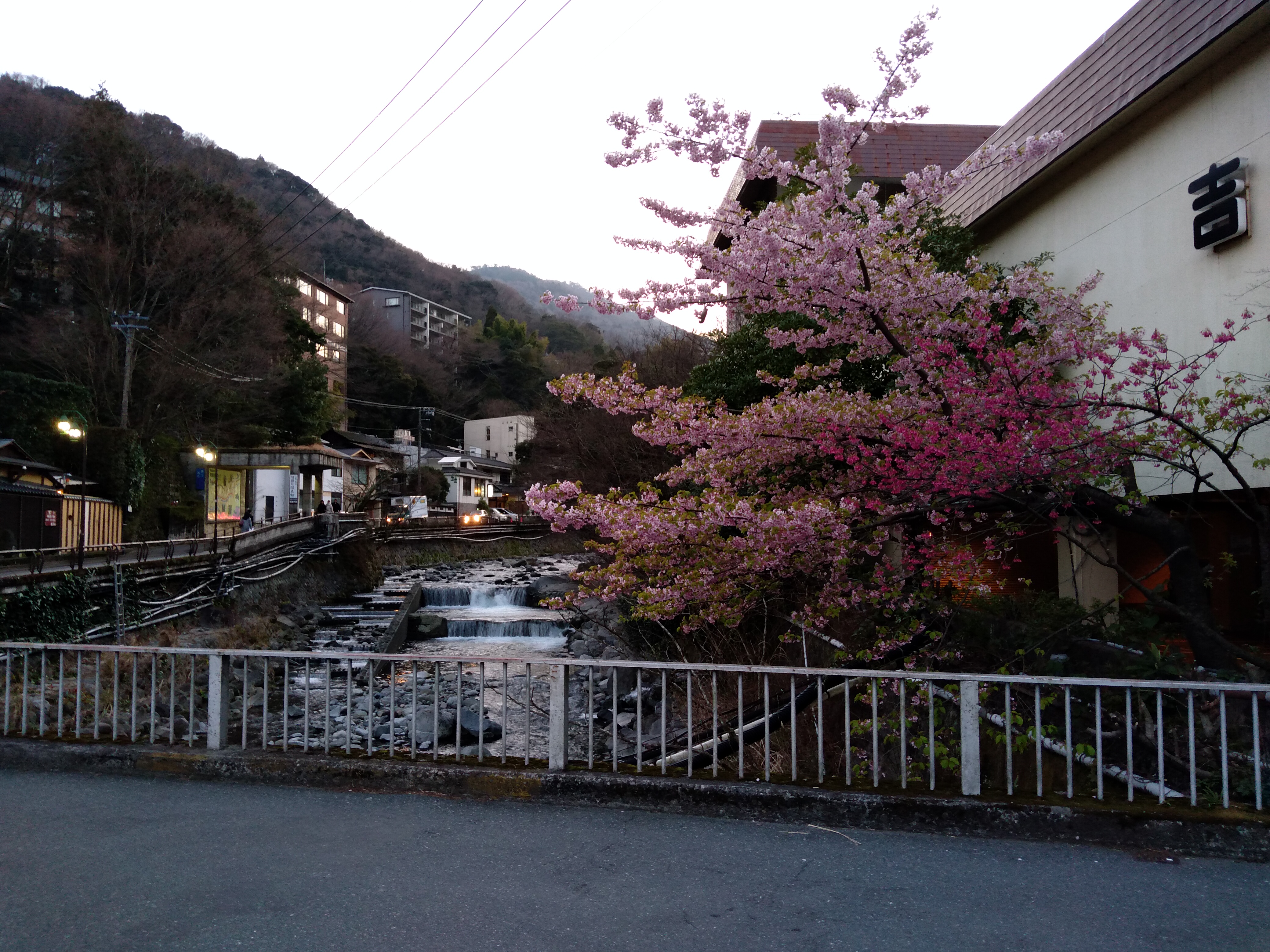 Bild von Japan