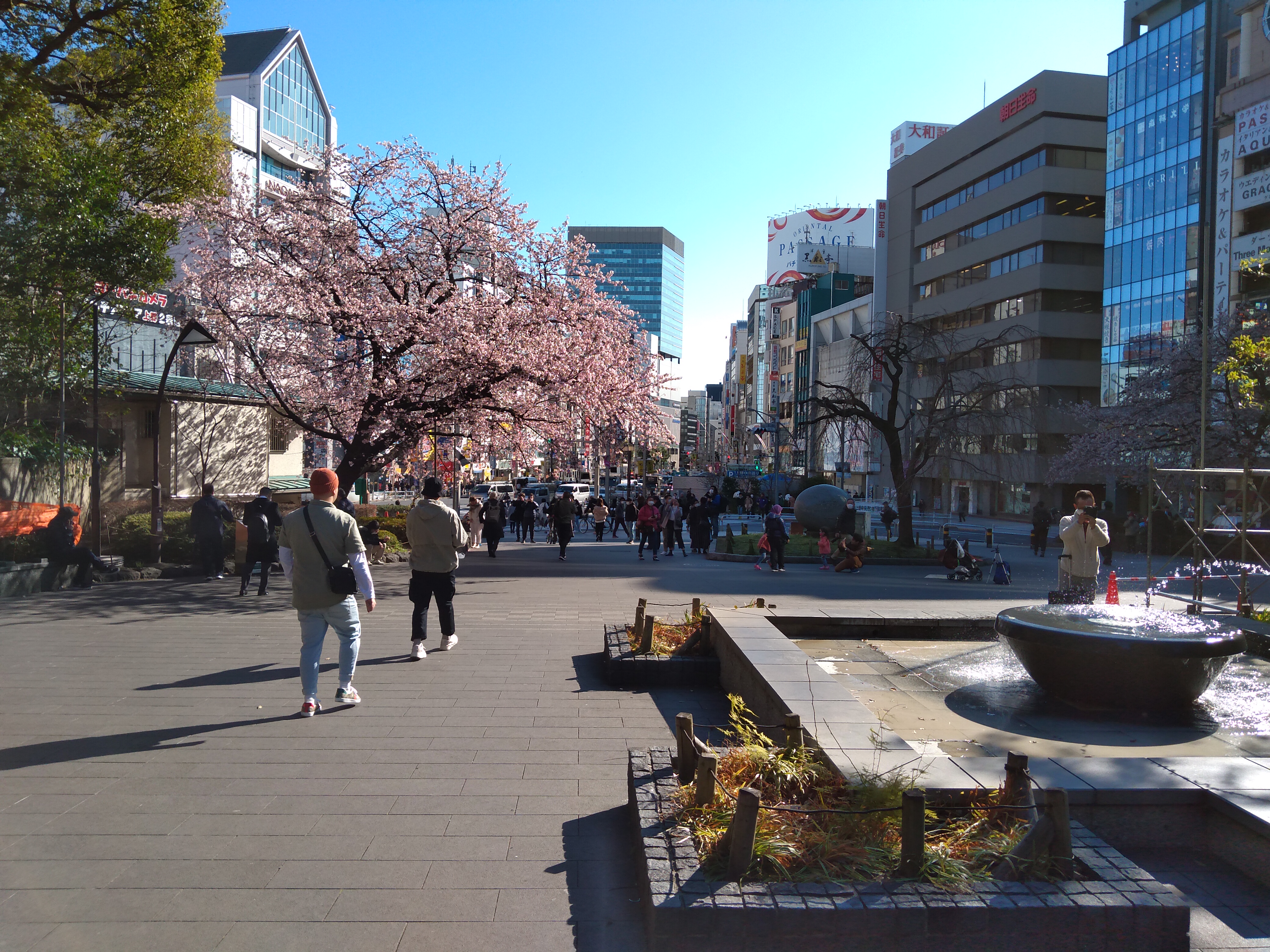 Bild von Japan