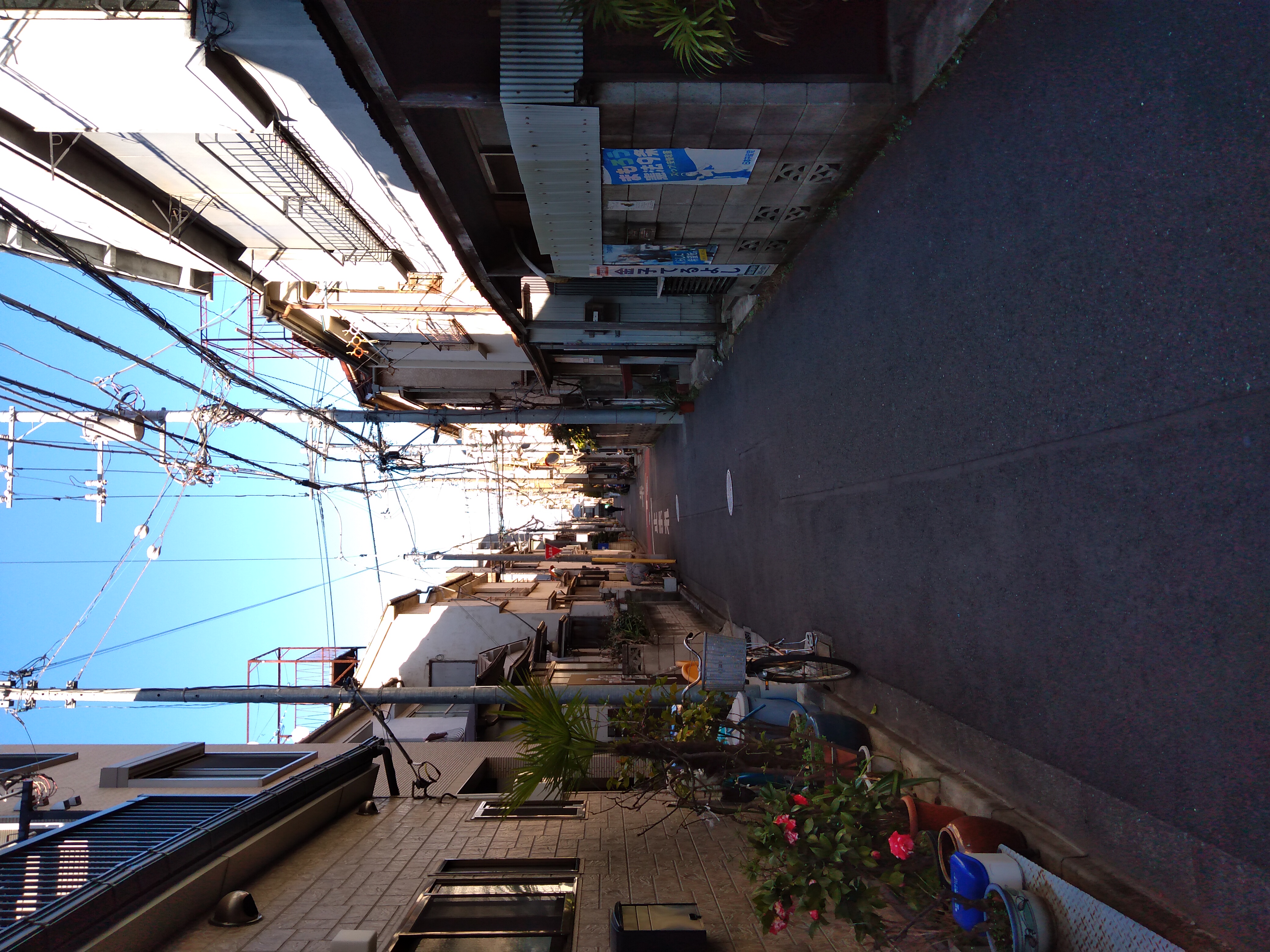 Bild von Japan